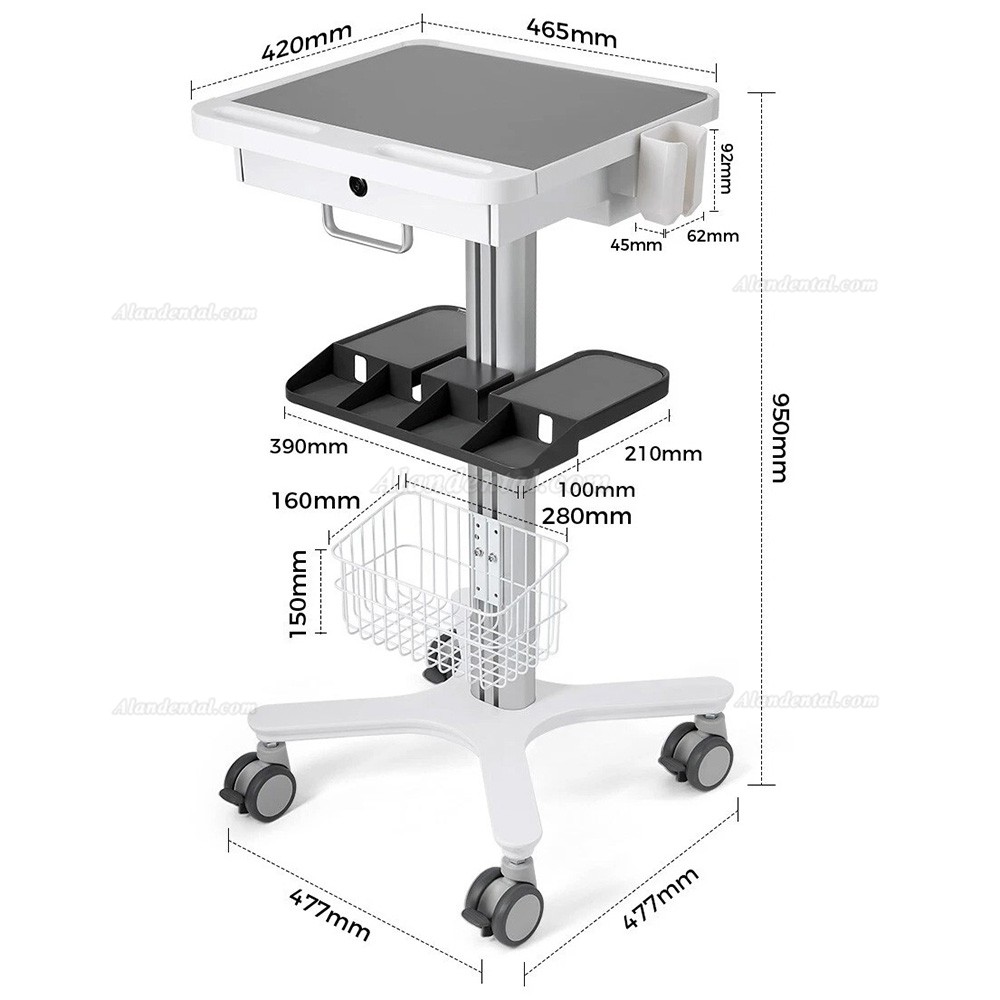 Likaymo RC-1 Dental Multi-Function Mobile Trolley Cart